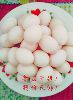鸽子蛋一个，补差专用，勿拍