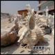 石雕流水海螺水景观雕塑喷水动物海螺贝壳雕刻厂家定制螺蛳雕塑