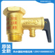 电热水器配件安全阀F50 21A1 16C2 适用美 16A 16A1 21BA1 21BM7