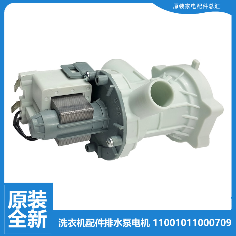 适用小天鹅洗衣机配件出排水泵电机TG53-X1018E(S/8028HZ/1206ED