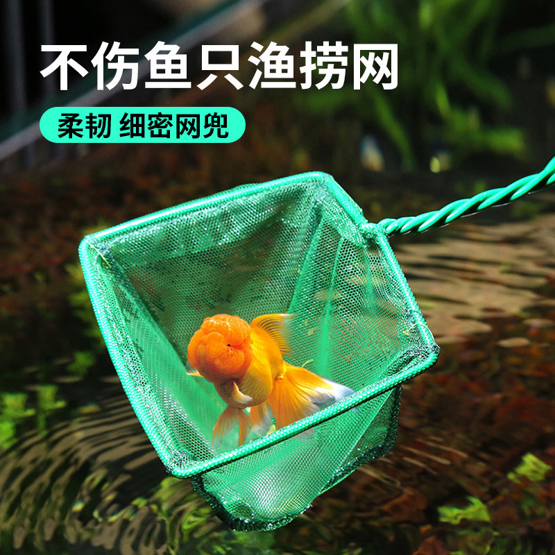 博宇鱼缸鱼捞捞鱼网兜圆形金鱼网热带鱼渔捞水族箱抄网不锈钢塑料