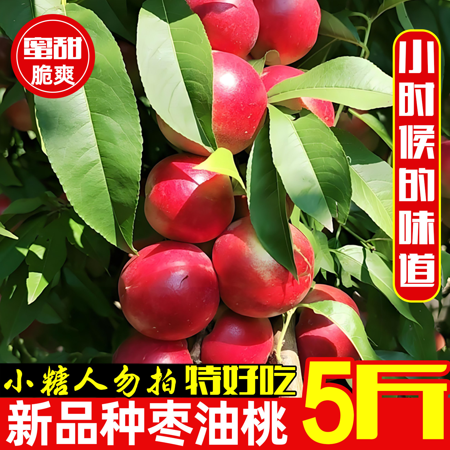 珍珠枣油桃新鲜水果当季鲜果蜜桃白肉红皮纯脆甜小桃子麻点丑桃