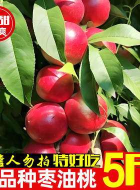 珍珠枣油桃麻点丑桃蜜桃果园直达