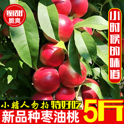 珍珠枣油桃麻点丑桃蜜桃果园直达