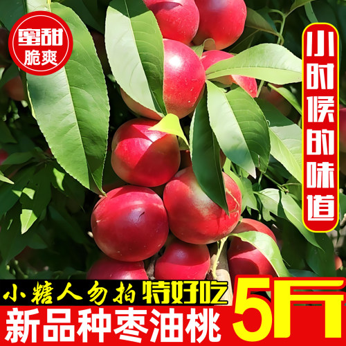珍珠枣油桃麻点丑桃蜜桃果园直达