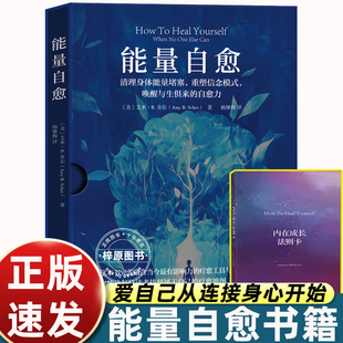 能量自愈 清理身体能量堵塞 重塑信念模式 唤醒与生俱来的自愈力【美】艾米·B.舍尔 能量的真相系列书籍