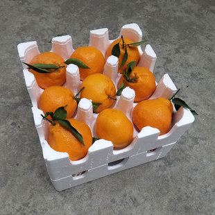 四川新惠阳科果春见耙耙柑丹棱丑桔新鲜粑粑柑纯甜爬爬杷杷柑大果