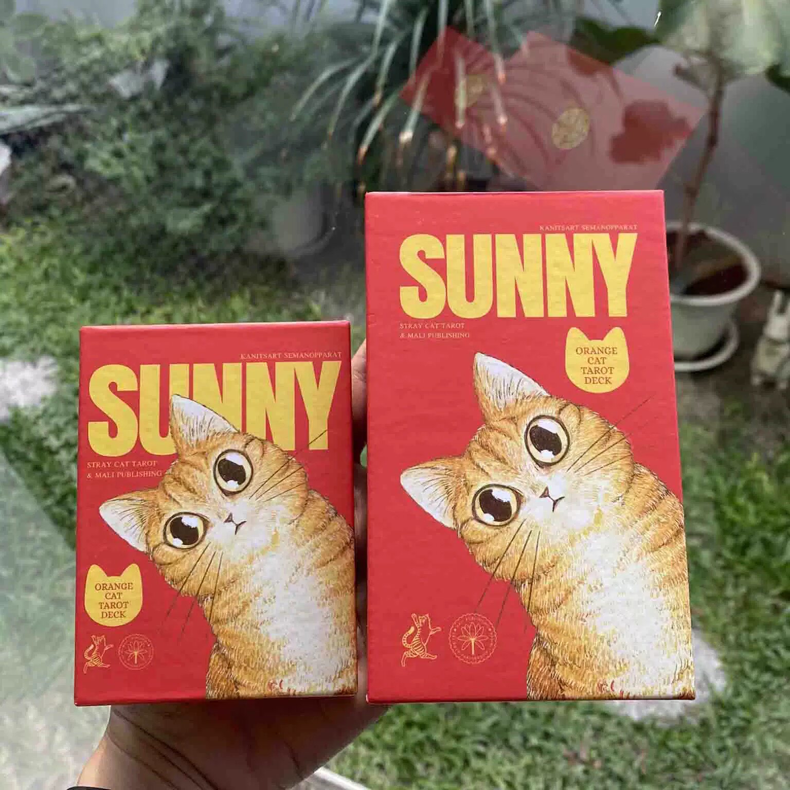 进口正版 阳光橘猫 塔塔卡牌可爱卡通78张维特桌游猫咪