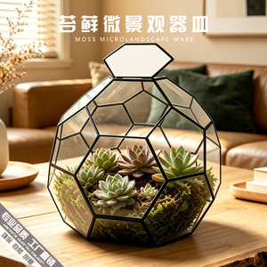 苔藓微景观带盖玻璃瓶