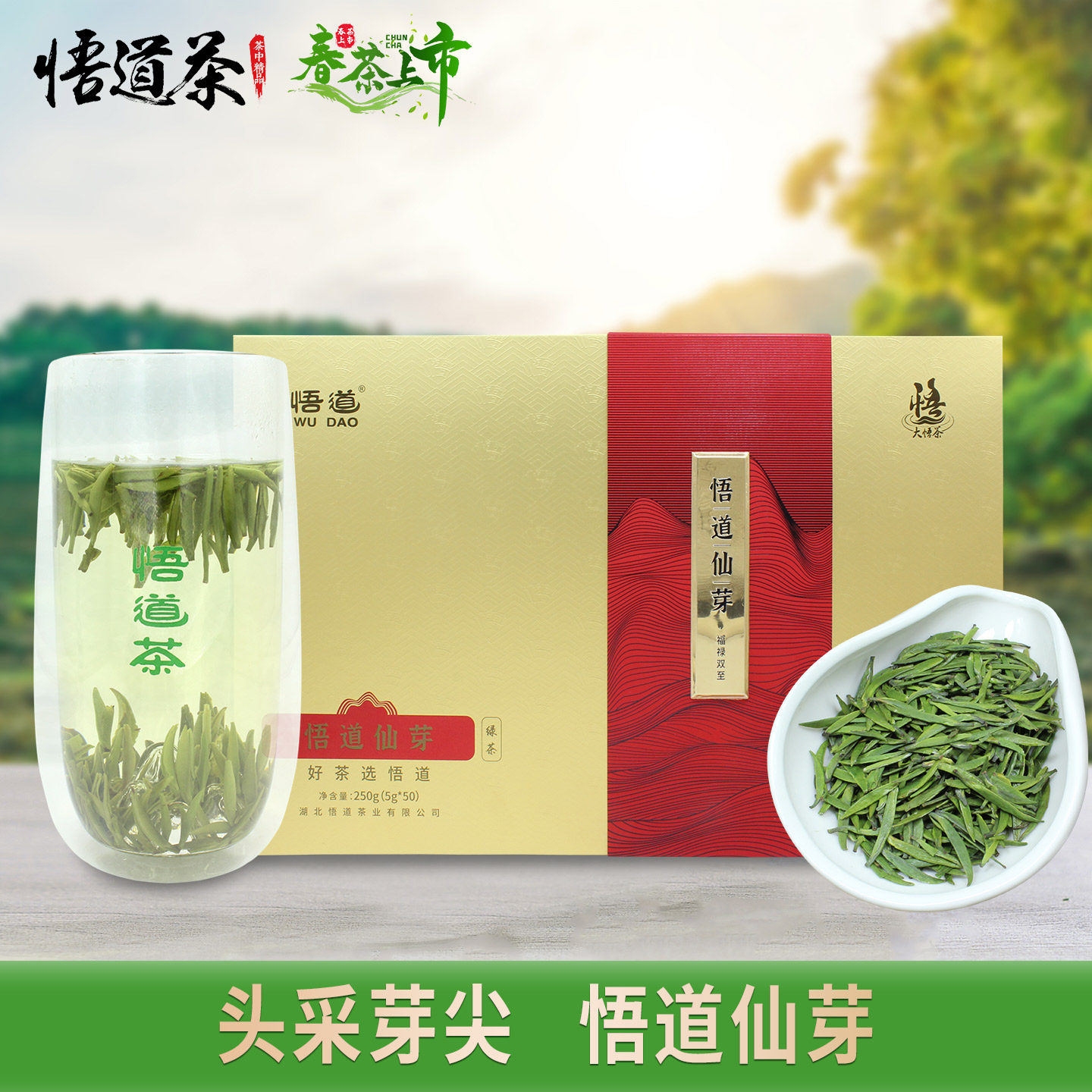 悟道仙芽头采芽尖春茶2026明前特级大悟柏园高山手采纯芽绿茶