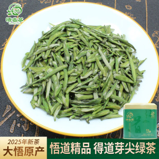 悟道雪芽早春头采芽尖绿茶大悟柏园黄高山嫩芽炒青茶叶2025年新茶