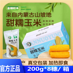 【新品】内蒙古敖汉金穗旺禾黄糯玉米10棒包装粗粮代餐孩子爱吃