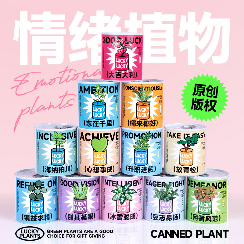 神奇植物罐头植物芦荟办公桌面室内好养绿植盆栽创意礼物种子种植
