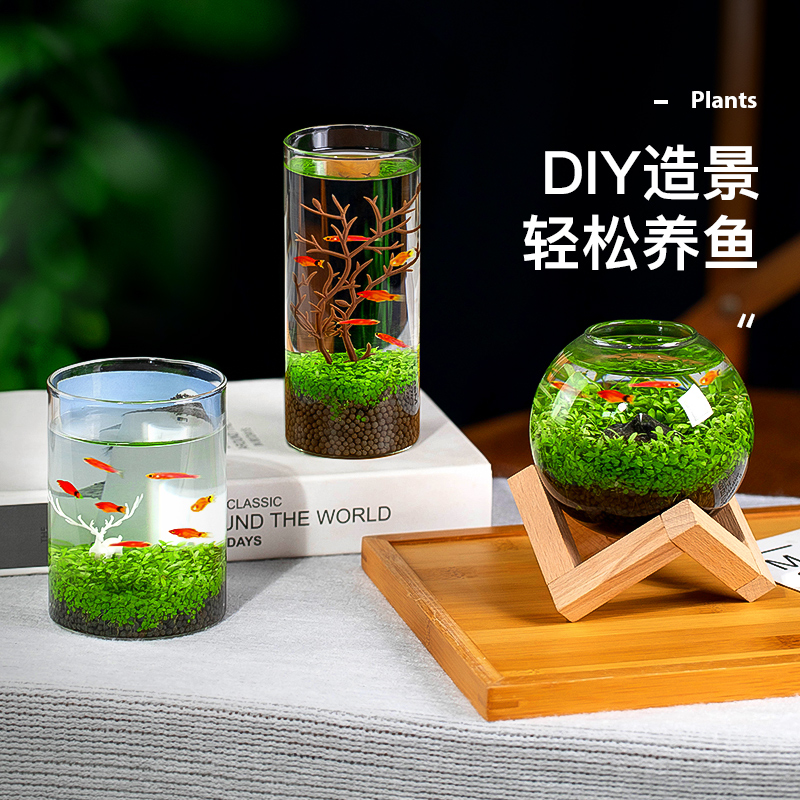 微景观水草水培植物桌面绿植
