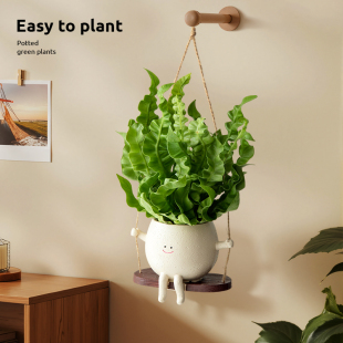 鸟巢蕨盆栽新家壁挂装 饰办公室可爱笑脸秋千吊兰垂吊植物室内四季