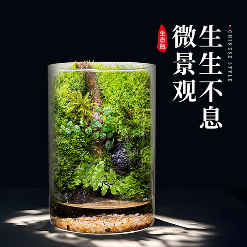 苔藓微景观工位创意生态瓶