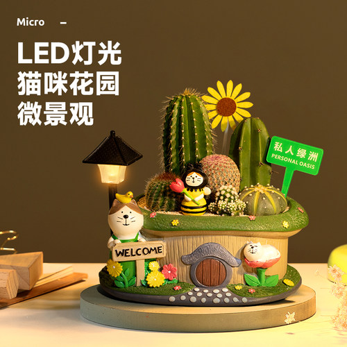 多肉植物桌面摆件绿植治愈礼物