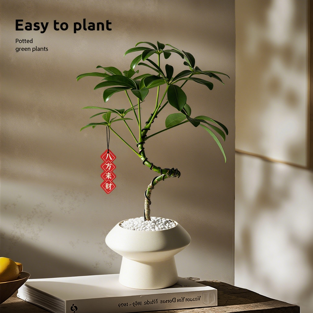 造型鸭脚木盆栽诧寂风室内植物