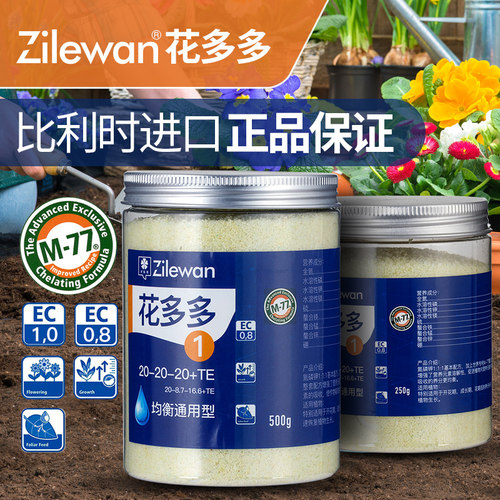 多多2号进口花肥月季盆栽水溶