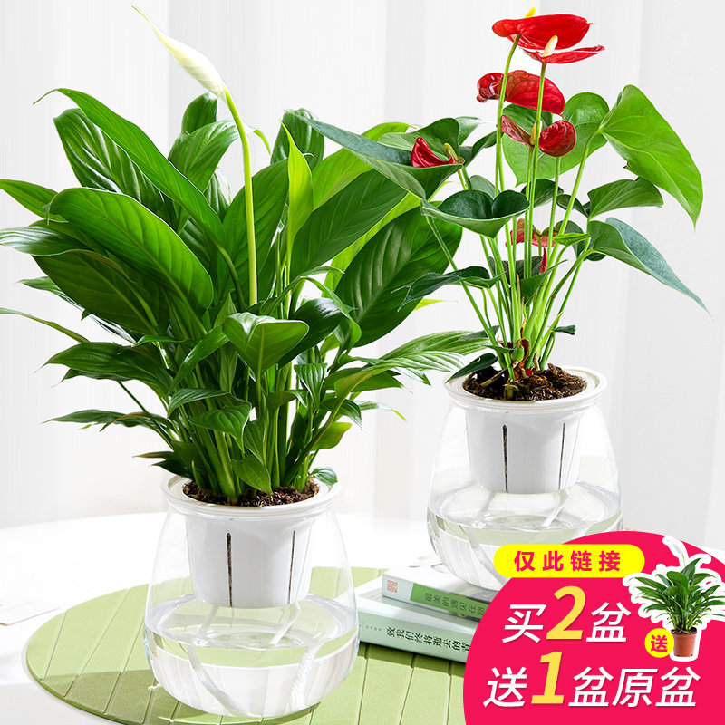 峰峰矿区信用卡套现 掌钱【加▲威信Q同号:49