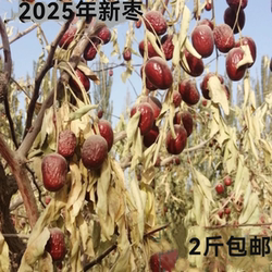 2025年正宗新枣且末38团灰枣 原生态未加工特级 新疆红枣枣农直发