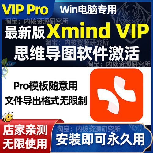xmindpro会员永久激活思维导图软件安装包新版导入无限制vip模板