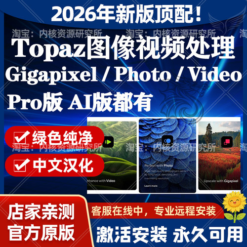 Topaz Photo/Video/Gigapixel Pro/AI 汉化远程安装修复画质视频