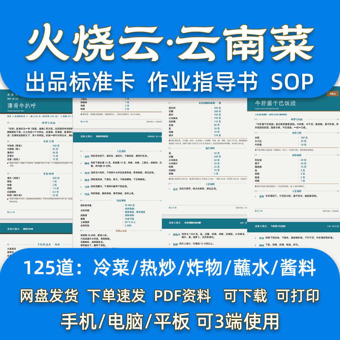 云南菜125道菜品配方浩海连锁餐厅后厨出品后厨标准卡指导SOP