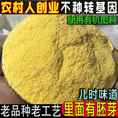 农民华子自种老式奔磨玉米面