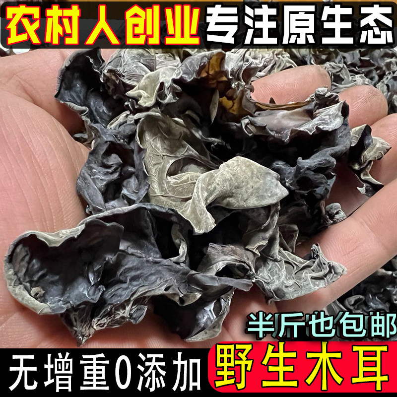 新自然生长山木耳东北农家自摘黑木耳自然晒干口感软糯秋木耳干货