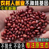 小粒红小豆东北农家自种老品种红小豆非赤小豆杂粮五谷粗粮5斤装