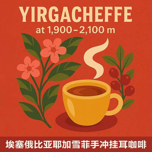 埃塞俄比亚耶加雪菲挂耳咖啡