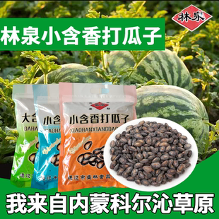 内蒙古通辽林泉小含香打瓜子大含香黑瓜子 盛林食品打瓜子1.4斤装