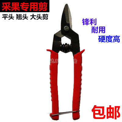 柑桔子剪葡萄苹果文旦剪枝条弹簧