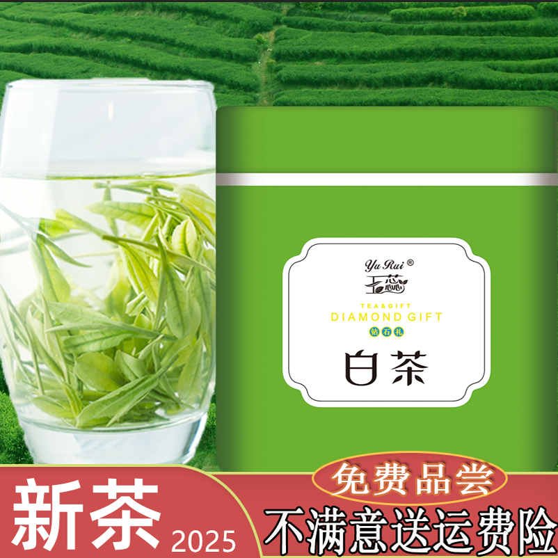 2025白茶原产地玉蕊茶叶