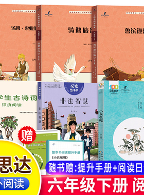 25秋读思达整本书阅读六年级上下册童年爱的教育呼兰河传小英雄雨来显微镜下有怪兽小学生古诗词深度阅读6年级快乐读书吧