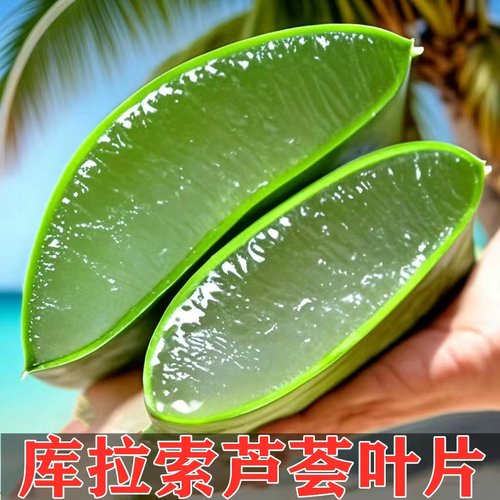 新鲜库拉索芦荟可食用美容补水