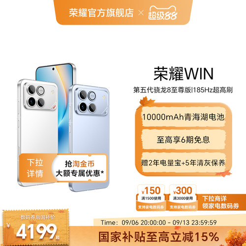 荣耀WIN10000mAh青海湖电池