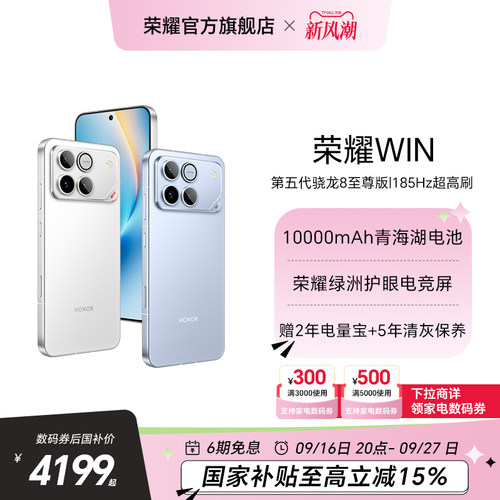 荣耀WIN10000mAh青海湖电池
