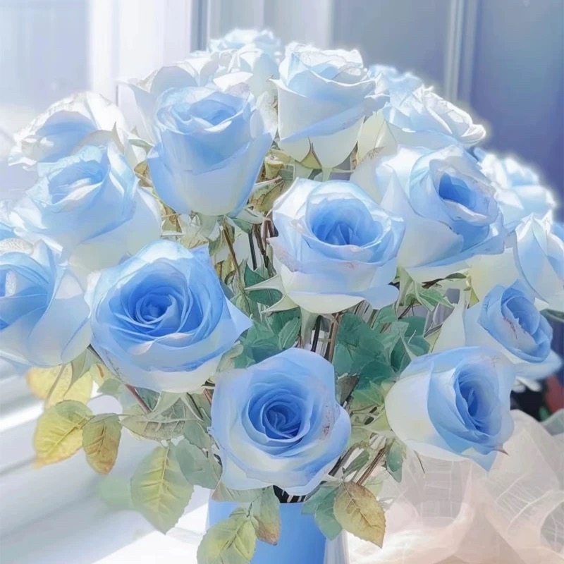 碎冰蓝单支喷色玫瑰瓶插花不含花瓶,鲜花速递/花卉仿真/绿植园艺,花材,淘宝优惠券,粉丝福利购,淘宝优惠卷