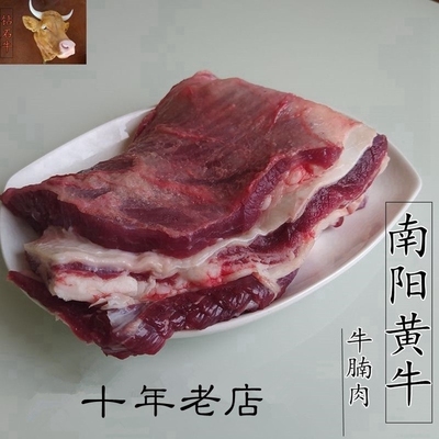 9年老店黄牛牛腩肉新鲜