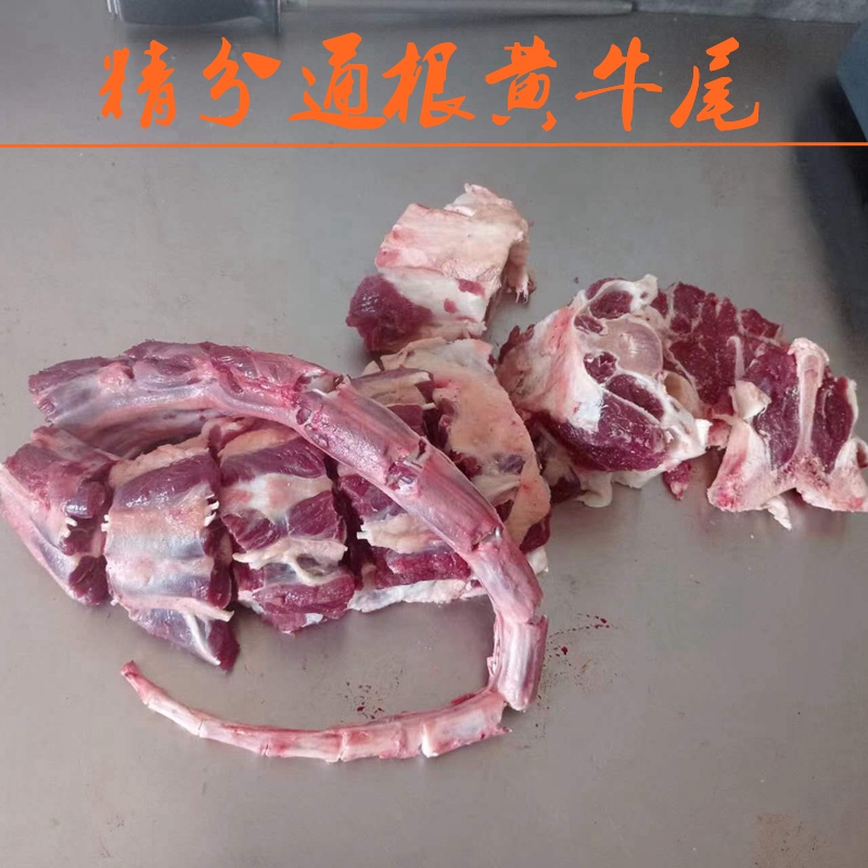 新鲜南阳黄牛尾巴牛尾骨精分牛尾现杀500克农家黄牛尾
