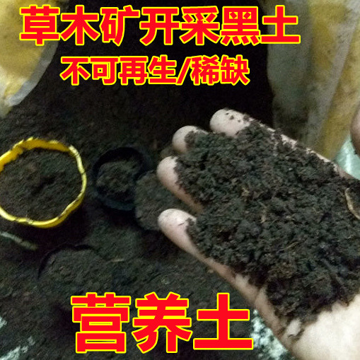 营养土泥炭土养花通用型多肉专用花土种菜种植泥土草木矿开采天然