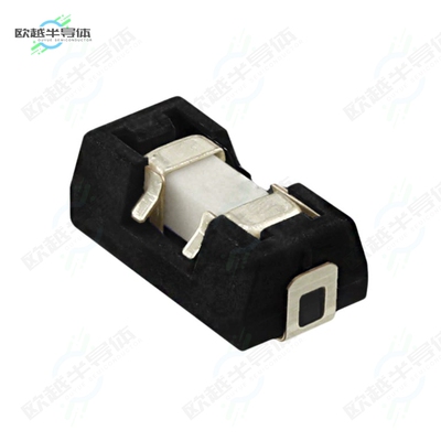 0154003.DRTL[电路保护FUSE BRD MNT 3A 125VAC/VDC 2SMD]