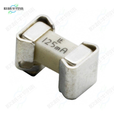 015702.5DRT[电路保护FUSE BRD MNT 2.5A 125VAC/VDC SMD]