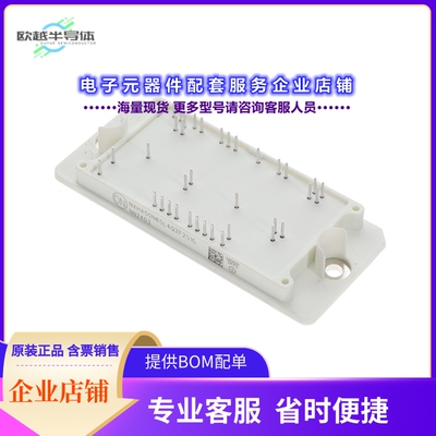 二极管/晶体管NXH450N65L4Q2F2S1G[120KW 1100V Q2PACK]