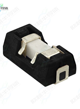 0154005.DRL[电路保护FUSE BRD MNT 5A 125VAC/VDC 2SMD]