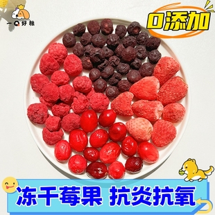 寵物狗狗貓咪泌尿保健凍干四莓粉零食桶草莓蔓越莓樹莓藍莓粉水果