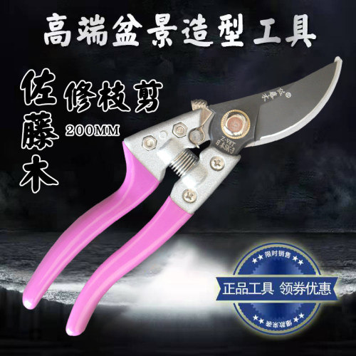 修枝剪园艺剪刀园艺剪刀花枝