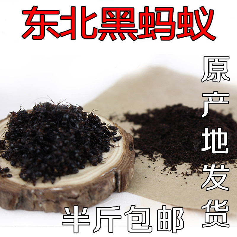 东北黑龙江伊春深山大包人工抓黑蚂蚁泡酒新货250g包邮